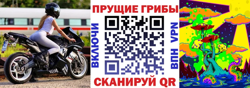 Галлюциногенные грибы Psilocybine cubensis  продажа наркотиков  Ряжск 